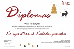 diplomas_Mijai Pliuškytei-1