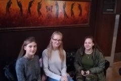 Dubingiu zirgynas 367