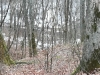 img_20180322_111840