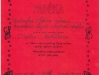 vaizdas-33
