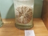 15228004_357467797940432_1585991138_n